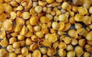 Himalayan Garlic
